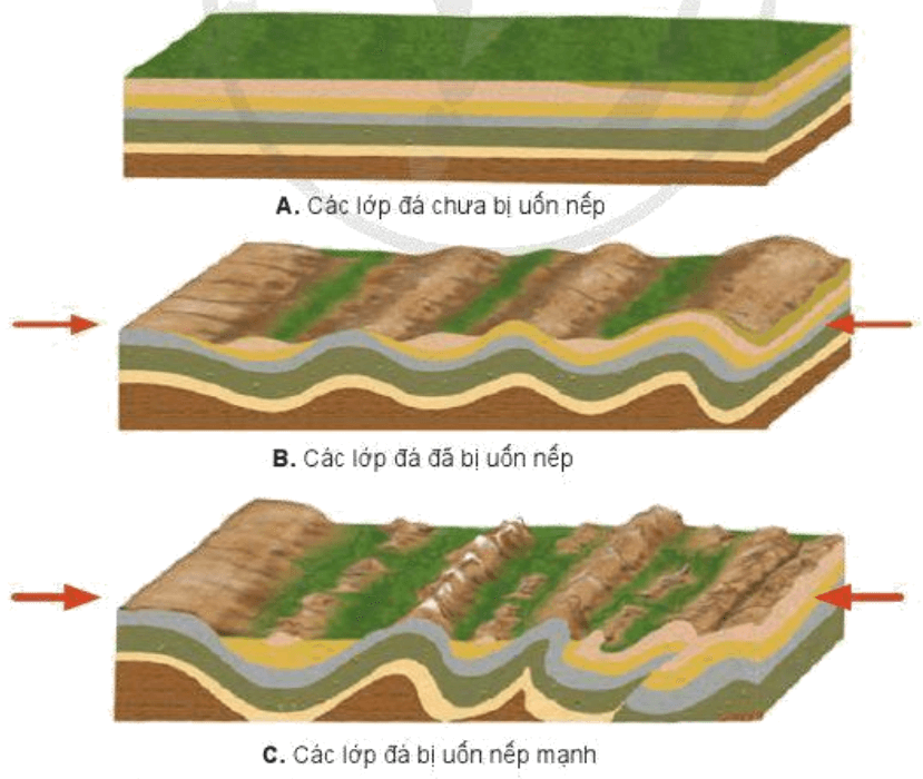 Lý thuyết Địa Lí 10 Cánh diều Bài 5: Thạch quyển. Nội lực và tác động của nội lực đến địa hình bề mặt Trái Đất (ảnh 2)
