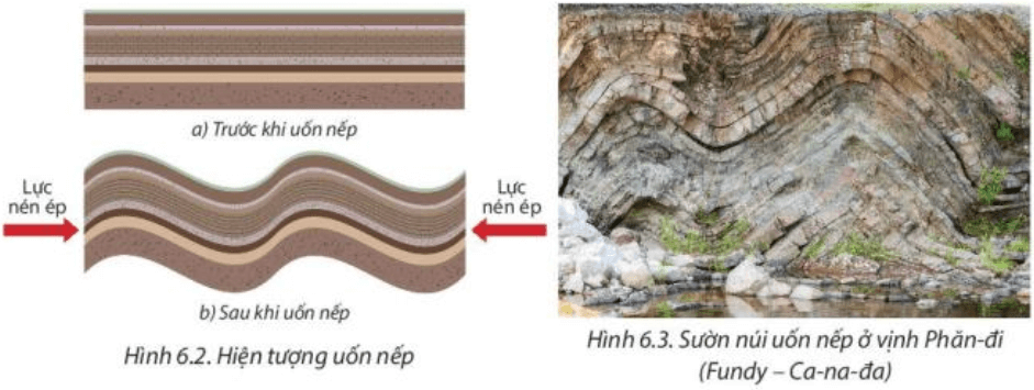 Dựa vào hình 6.2, hình 6.3 và thông tin trong bài, em hãy