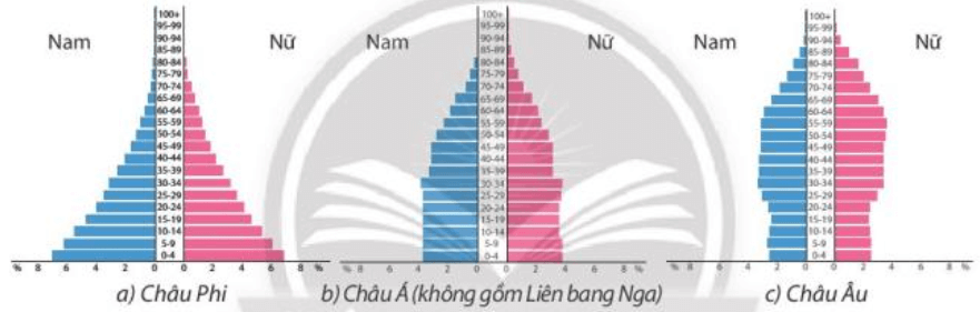 Dựa vào hình 22 và kiến thức đã học, em hãy so sánh tháp dân số của châu Phi