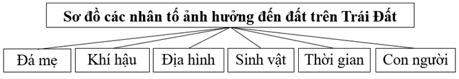 Bài 14 (ảnh 1)