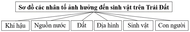 Lập sơ đồ thể hiện các nhân tố ảnh hưởng đến sự phát triển và phân bố của sinh vật