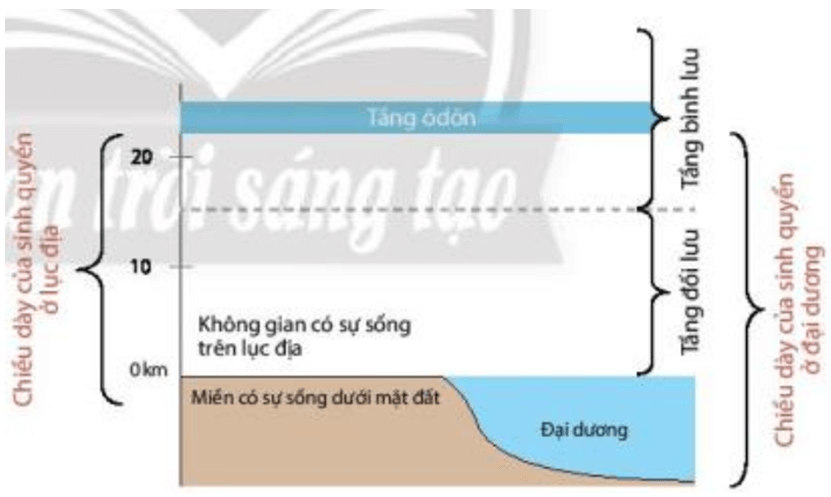 Lý thuyết Địa Lí 10 Chân trời sáng tạo Bài 15: Sinh quyển, các nhân tố ảnh hưởng đến sự phát triển và phân bố của sinh vật (ảnh 1)