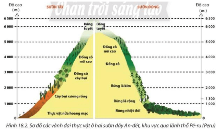 Lý thuyết Địa Lí 10 Chân trời sáng tạo Bài 18: Quy luật địa đới và quy luật phi địa đới (ảnh 2)