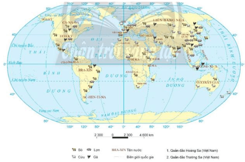 Lý thuyết Địa Lí 10 Chân trời sáng tạo Bài 26: Địa lí các ngành nông nghiệp, lâm nghiệp, thủy sản (ảnh 2)