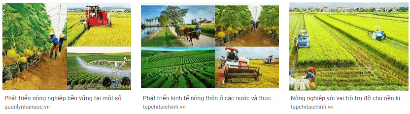 Sưu tầm thông tin về vai trò của ngành nông nghiệp đối với sự phát triển kinh tế - xã hội