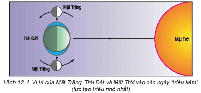 Dựa vào thông tin trong mục b và các hình 12.3, 12.4, hãy Giải thích hiện tượng thuỷ triều