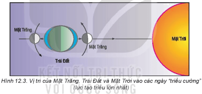 Dựa vào thông tin trong mục b và các hình 12.3, 12.4, hãy Giải thích hiện tượng thuỷ triều