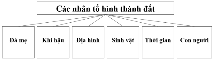 Vẽ sơ đồ thể hiện các nhân tố hình thành đất