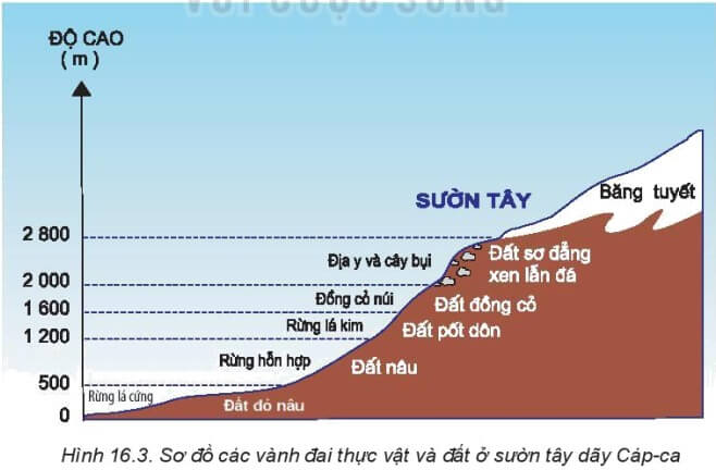 Quan sát hình 16.3 và dựa vào kiến thức đã học, hãy cho biết ở sườn tây