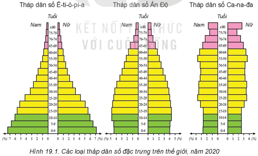 Quan sát hình 19.1, hãy so sánh sự khác nhau giữa tháp dân số năm 2020