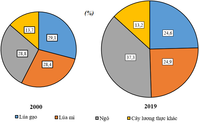 Cho bảng số liệu Tính cơ cấu sản lượng lương thực thế giới năm 2000 và năm 2019