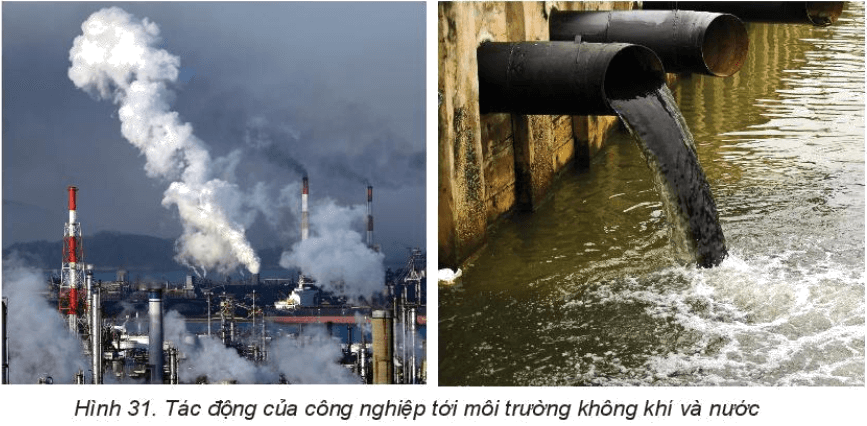 Dựa vào thông tin trong mục 1 và hình 31, hãy phân tích tác động