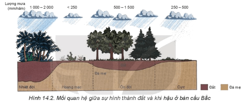 Lý thuyết Địa Lí 10 Kết nối tri thức Bài 14: Đất trên Trái Đất