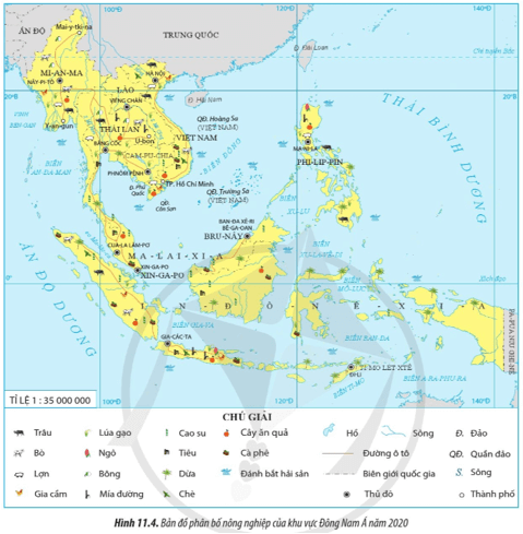 Kể tên một số cây trồng vật nuôi chủ yếu ở khu vực Đông Nam Á (ảnh 1)