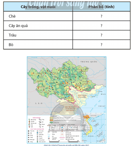 Dựa vào hình 24.2, xác định sự phân bố một số cây trồng, vật nuôi ở vùng Trung du