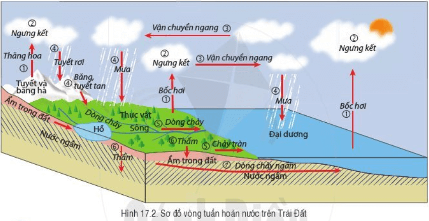 Lý thuyết Địa Lí 6 Bài 17: Các thành phần chủ yếu của thủy quyển. Tuần hoàn nước trên Trái Đất | Cánh diều