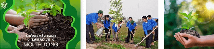 Lý thuyết Địa Lí 6 Bài 26: Thực hành: Tìm hiểu tác động của con người lên môi trường tự nhiên trong sản xuất | Cánh diều