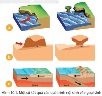 Bài 10. Quá trình nội sinh và ngoại sinh. Các dạng địa hình chính. Khoáng sản