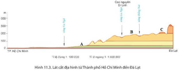 Bài 11. Thực hành đọc lược đồ địa hình tỉ lệ lớn và lát cắt địa hình đơn giản