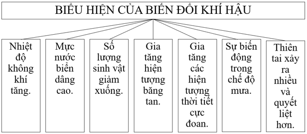 Bài 14. Biến đổi khí hậu và ứng phó với biến đổi khí hậu