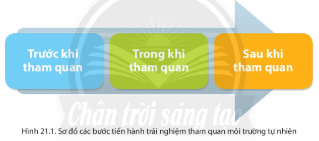 Bài 21. Thực hành tìm hiểu môi trường tự nhiên qua tài liệu và tham quan địa phương