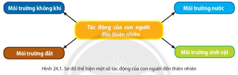 Bài 24. Thực hành tác động của con người đến thiên nhiên