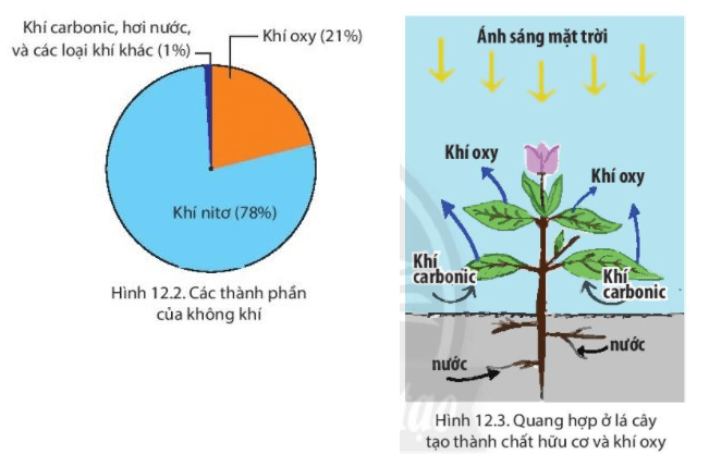 Câu hỏi 2 trang 152 Địa Lí lớp 6