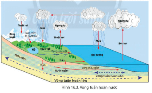 Câu hỏi 3 trang 168 Địa Lí lớp 6