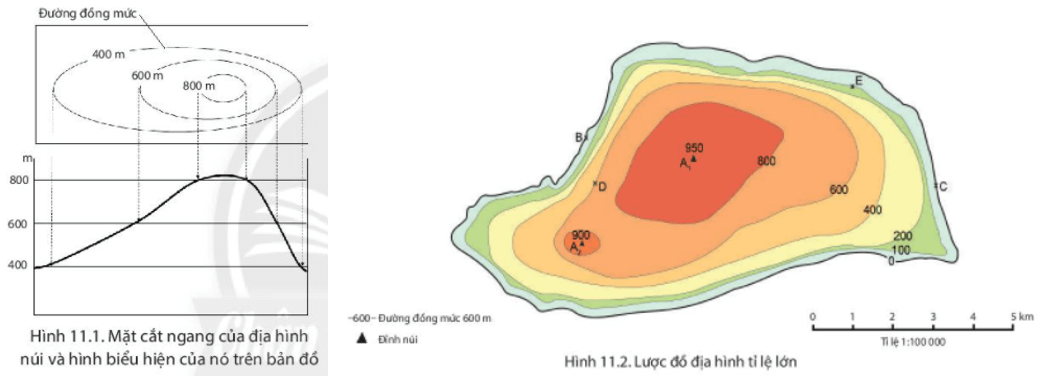Lý thuyết Địa Lí 6 Bài 11: Thực hành độc lược đồ địa hình tỉ lệ lớn và lát cắt địa hình đơn giản