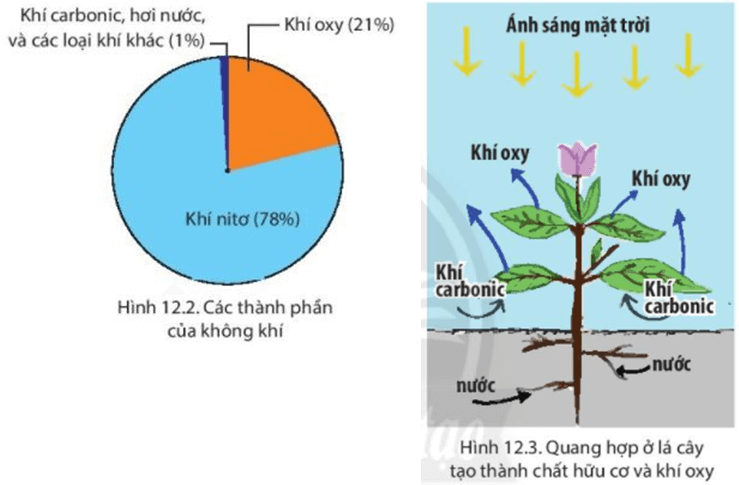 Lý thuyết Địa Lí 6 Bài 12: Lớp vỏ khí. Khối khí. khí áp và gió trên Trái Đất | Chân trời sáng tạo