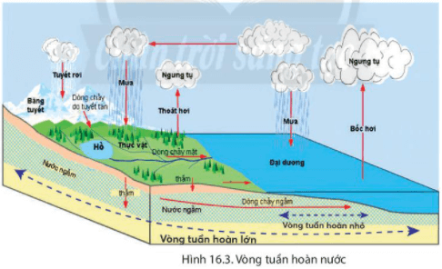 Lý thuyết Địa Lí 6 Bài 16: Thuỷ quyển. Vòng tuần hoàn nước. Nước ngầm, băng hà