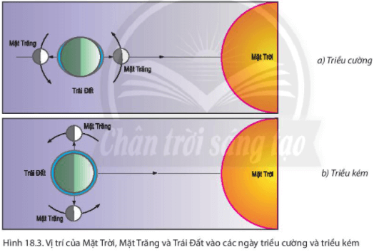 Lý thuyết Địa Lí 6 Bài 18: Biển và đại dương | Chân trời sáng tạo