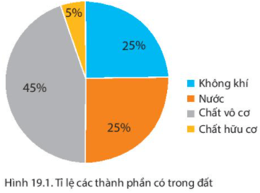 Lý thuyết Địa Lí 6 Bài 19: Lớp đất và các nhân tố hình thành đất. Một số nhóm đất điển hình