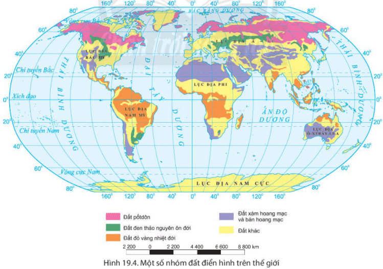 Lý thuyết Địa Lí 6 Bài 19: Lớp đất và các nhân tố hình thành đất. Một số nhóm đất điển hình