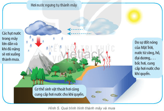 Cho biết giá trị độ ẩm không khí hiển thị trên hình 4