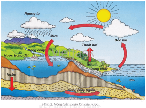 hãy cho biết: Nước mưa rơi xuống mặt đất sẽ tồn tại ở những đâu