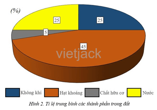 Quan sát hình 2, cho biết đất bao gồm những thành phần nào