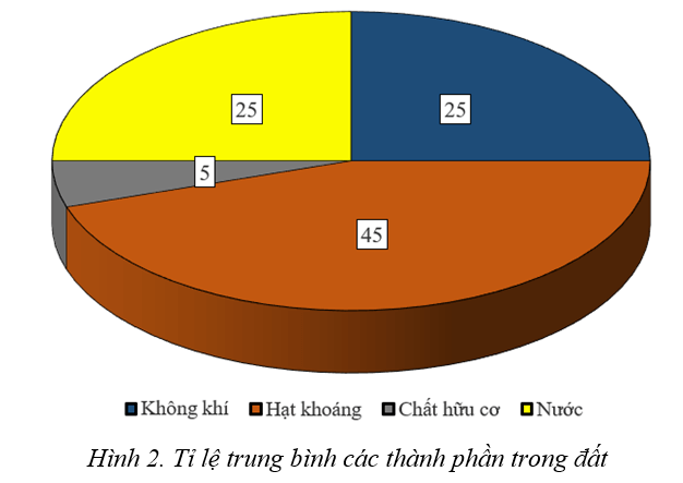 Lý thuyết Địa Lí 6 Bài 22: Lớp đất trên Trái Đất | Kết nối tri thức