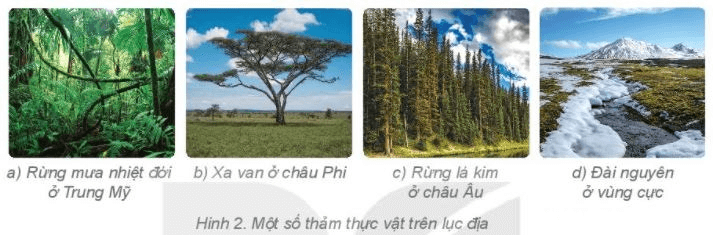 Sự sống trên Trái Đất