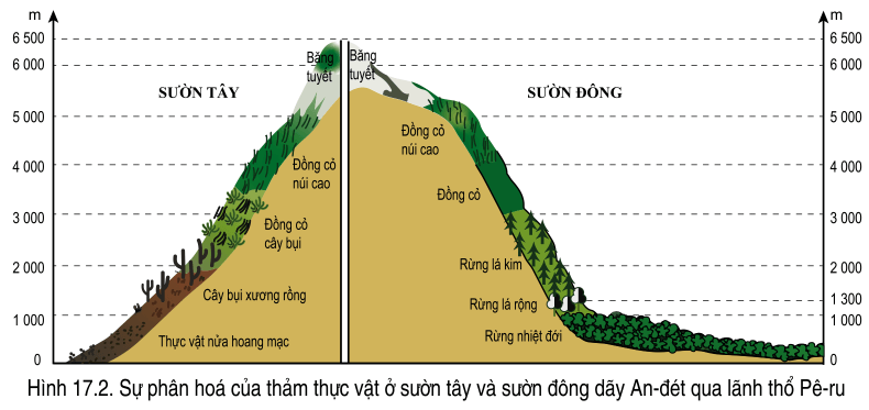 Lý thuyết Địa Lí 7 Cánh diều Bài 17: Đặc điểm tự nhiên Trung và Nam Mỹ