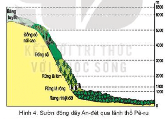 Dựa vào thông tin và quan sát hình 4 trong mục 3, hãy: Kể tên các đai thực vật