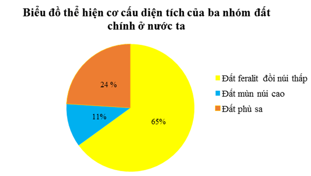 Lý thuyết Địa Lí 8 Chân trời sáng tạo Bài 11: Đặc điểm chung và sự phân bố của lớp phủ thổ nhưỡng