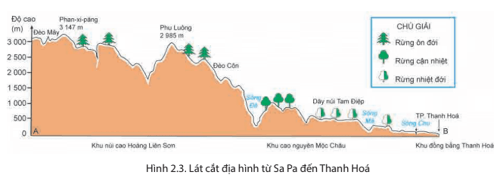 Lý thuyết Địa Lí 8 Chân trời sáng tạo Bài 2: Đặc điểm địa hình