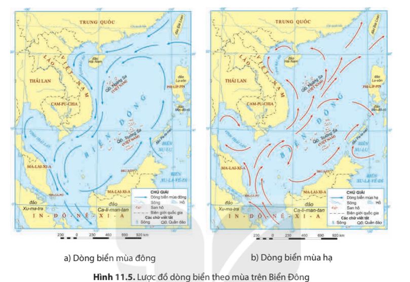 Dựa vào hình 11.5 hãy cho biết sự khác nhau về hướng chảy của dòng biển mùa đông 