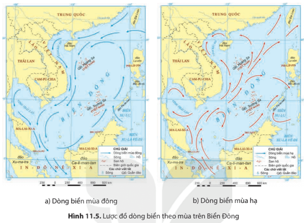 Lý thuyết Địa Lí 8 Kết nối tri thức Bài 11: Phạm vi biển đông. Vùng biển đảo và đặc điểm tự nhiên vùng biển đảo Việt Nam