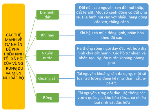 Vẽ sơ đồ tư duy thể hiện các thế mạnh về tự nhiên để phát triển kinh tế - xã hội