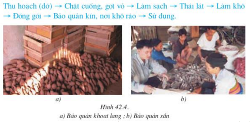 Lý thuyết Công nghệ 10 Bài 42: Bảo quản lương thực, thực phẩm hay, ngắn gọn | Lý thuyết Công nghệ 10 đầy đủ nhất