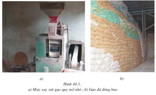 Lý thuyết Công nghệ 10 Bài 44: Chế biến lương thực, thực phẩm hay, ngắn gọn | Lý thuyết Công nghệ 10 đầy đủ nhất