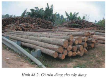 Lý thuyết Công nghệ 10 Bài 48: Chế biến sản phẩm cây công nghiệp và lâm sản hay, ngắn gọn | Lý thuyết Công nghệ 10 đầy đủ nhất