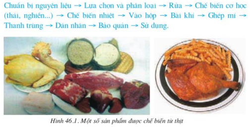 Lý thuyết Công nghệ 10 Bài 46: Chế biến sản phẩm chăn nuôi, thủy sản hay, ngắn gọn | Lý thuyết Công nghệ 10 đầy đủ nhất